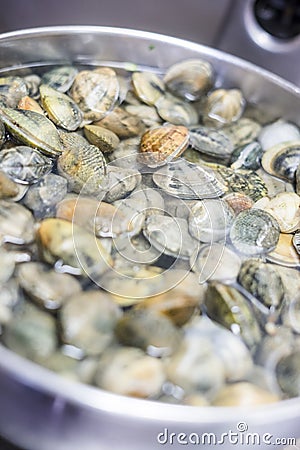 A lot of clams in water in a silver bowl Stock Photo