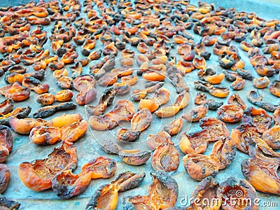 A lot of dried apricots in large plates in the sun, background photo Stock Photo