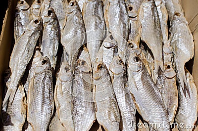 Dried fish on a rope n the market Stock Photo