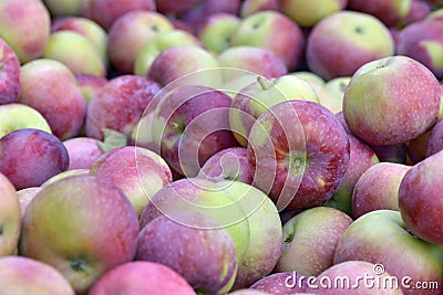 Lot of empire apple Stock Photo