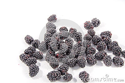 A lot fresh fresh sweet blackberry`s whiting Stock Photo