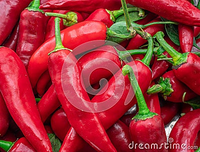 Lot of fresh red chilli peppers. Food background Stock Photo