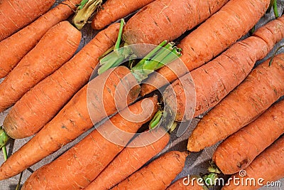 A lot of fresh and tasty carrots. Healthy eating. Stock Photo