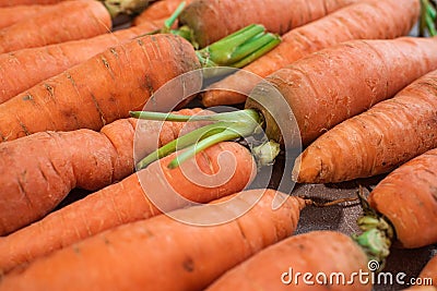 A lot of fresh and tasty carrots. Healthy eating. Stock Photo