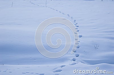 Human traces on the snow Stock Photo