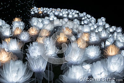 A lot of lit LED rose flowers at the Dongdaemun Design Plaza in UD TOWN, Udonthani Thailand at night. Editorial Stock Photo