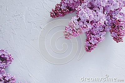 A lot of lush lilacs on a concrete gray background. Top view of blooming branches, flower border. The basis for a greeting card Stock Photo