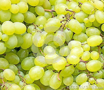 Lot of ripe green grapes. Stock Photo