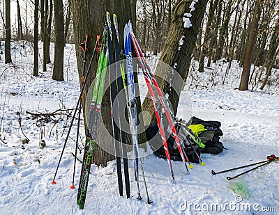 a lot of skis stand by the tree Editorial Stock Photo