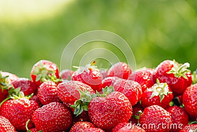 A lot of strawberries on a green background, a season of strawberries Stock Photo