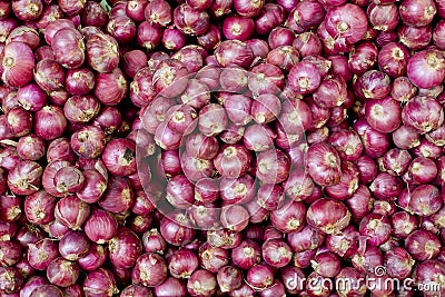 A lot of Thai shallot separated for background Stock Photo