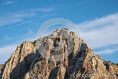 A lot of vultures circling around a mountain called the gypsy's jump (Salto del Gitano) in the Monfrague Stock Photo