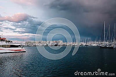 A lot of white yachts on the water. Boats on the ocean water. A white yacht. The branches of a tree. Beautiful sunset. A Editorial Stock Photo