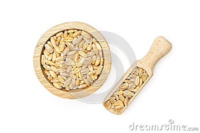 Dinkel wheat grain isolated on white Stock Photo