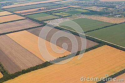 A lot of yellow fields before harvesting from a bird`s eye view Stock Photo