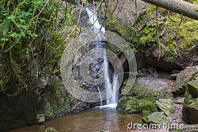 Lotenbach Gorge in Blach Forest, Germany Stock Photo