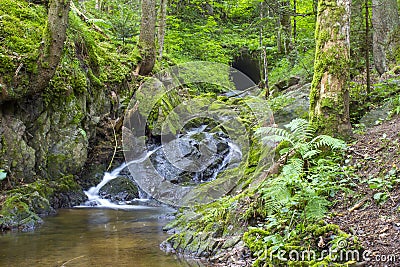 Lotenbach Gorge in Blach Forest Stock Photo