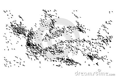 Lots of birds, clusters are flying in the sky, crows. Vector stock illustration eps10. Isolate on a white background. Vector Illustration