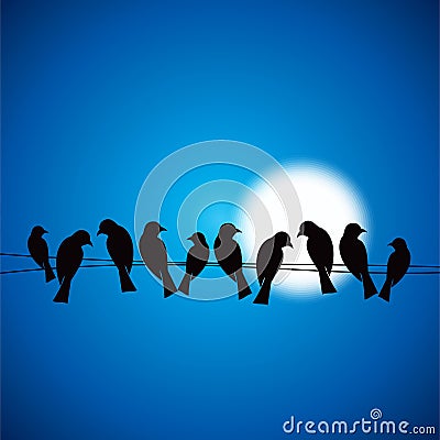 Lots of Birds on Telephone Lines with Night Sky Vector Illustration