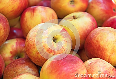 Lots of bright apples. Stock Photo