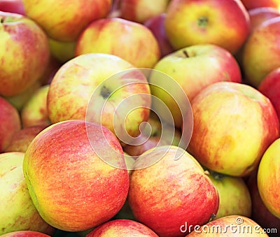 Lots of bright apples. Stock Photo