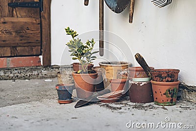 Lots of clay pots, trowel and gardening tools. Gardening and plant care in spring and summer. Series of photographs Stock Photo