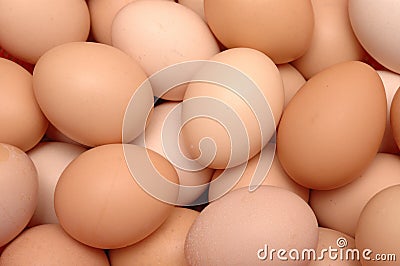 Lots of eggs Stock Photo