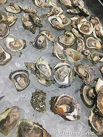 Lots of fresh tasty raw oysters seafood on ice Stock Photo