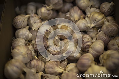 Lots of garlic in box. Details of sale on market. Root vegetables in store Stock Photo