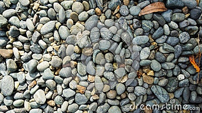 Lots of grey, black, white pebble stone texture background with dried orange leaves Stock Photo