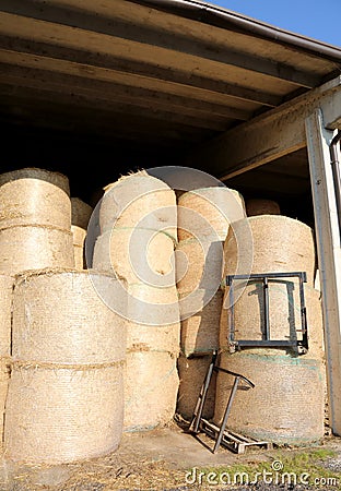hay bales in the farmhouse store used to feed the beasts of the Stock Photo
