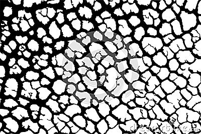 Lots lines of crack ground for abstract background on white background Vector Illustration