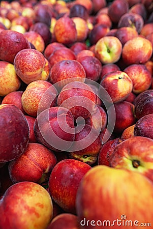 Lots of organically grown peaches Stock Photo