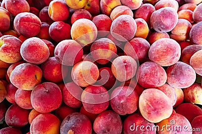 Lots of organically grown peaches Stock Photo