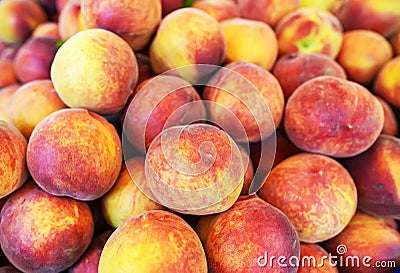 Lots of organically grown peaches Stock Photo