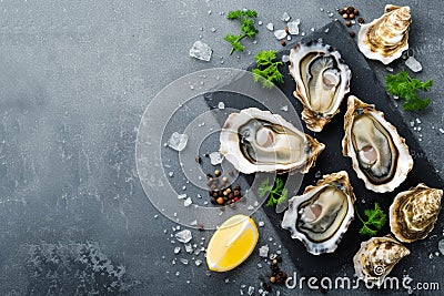 lots of oysters on a plate, in the style of nature-based patterns, Stock Photo