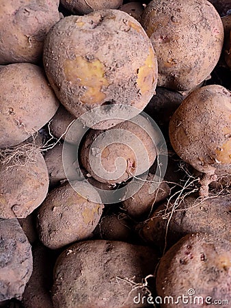 Lots of potatoes in market Stock Photo