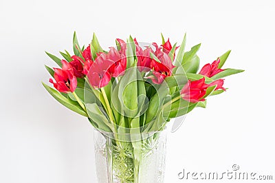 A lots of red tulip flowers Stock Photo