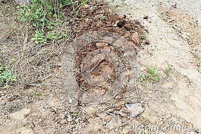 lots tire track on dirty soil ground for abstract background Stock Photo
