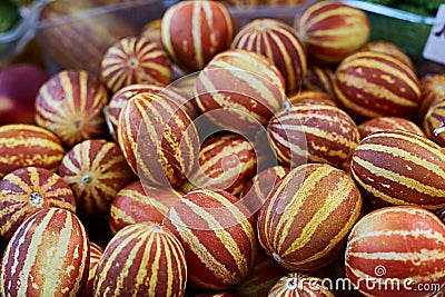 Lots of Vietnamese striped pineapples mini melons Stock Photo