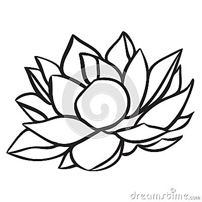 Lotus Vector Illustration