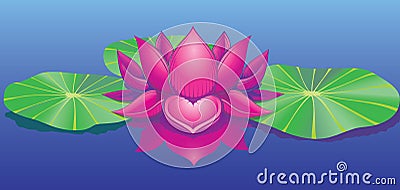 Lotus Vector Illustration