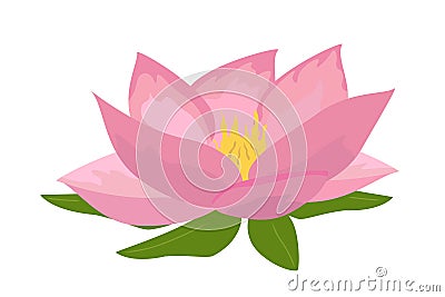 Lotus aquatic plant vector Vector Illustration