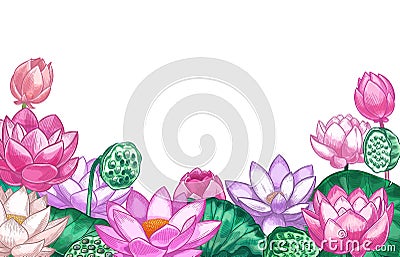 Lotus background. Hand drawn floral banner with pink lotus flower and leaves design for yoga center, cosmetic, greeting Vector Illustration