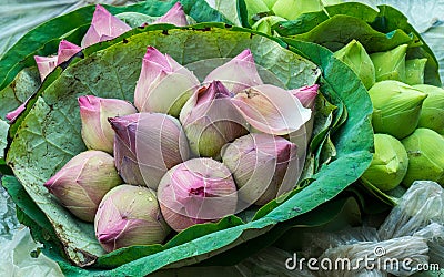 Lotus Bouquets in Bangkok Flower Market Stock Photo