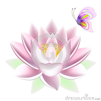 Lotus with a butterfly. Vector Illustration