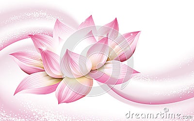 Lotus flower background Vector Illustration