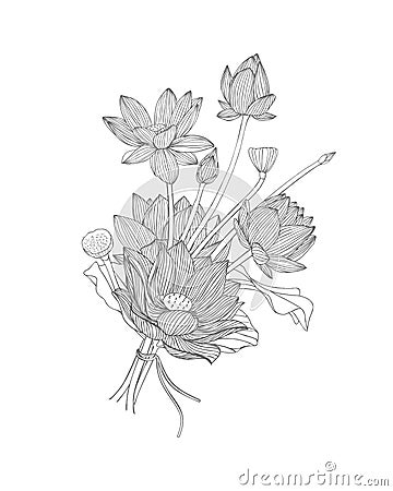 Lotus flower bouquet. Black and white Vector Illustration