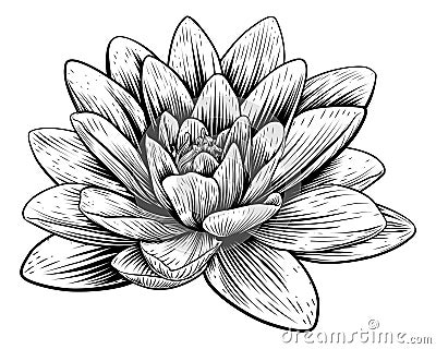 Lotus Flower Water Lily Vintage Woodcut Etching Vector Illustration