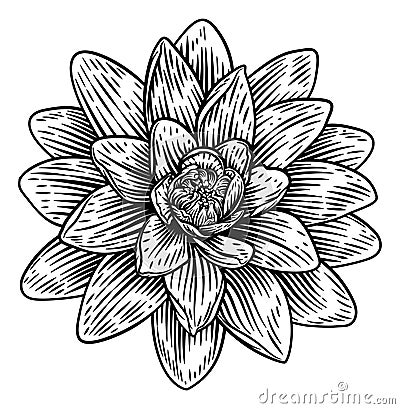 Lotus Flower Woodcut Water Lilly Engraved Etching Vector Illustration